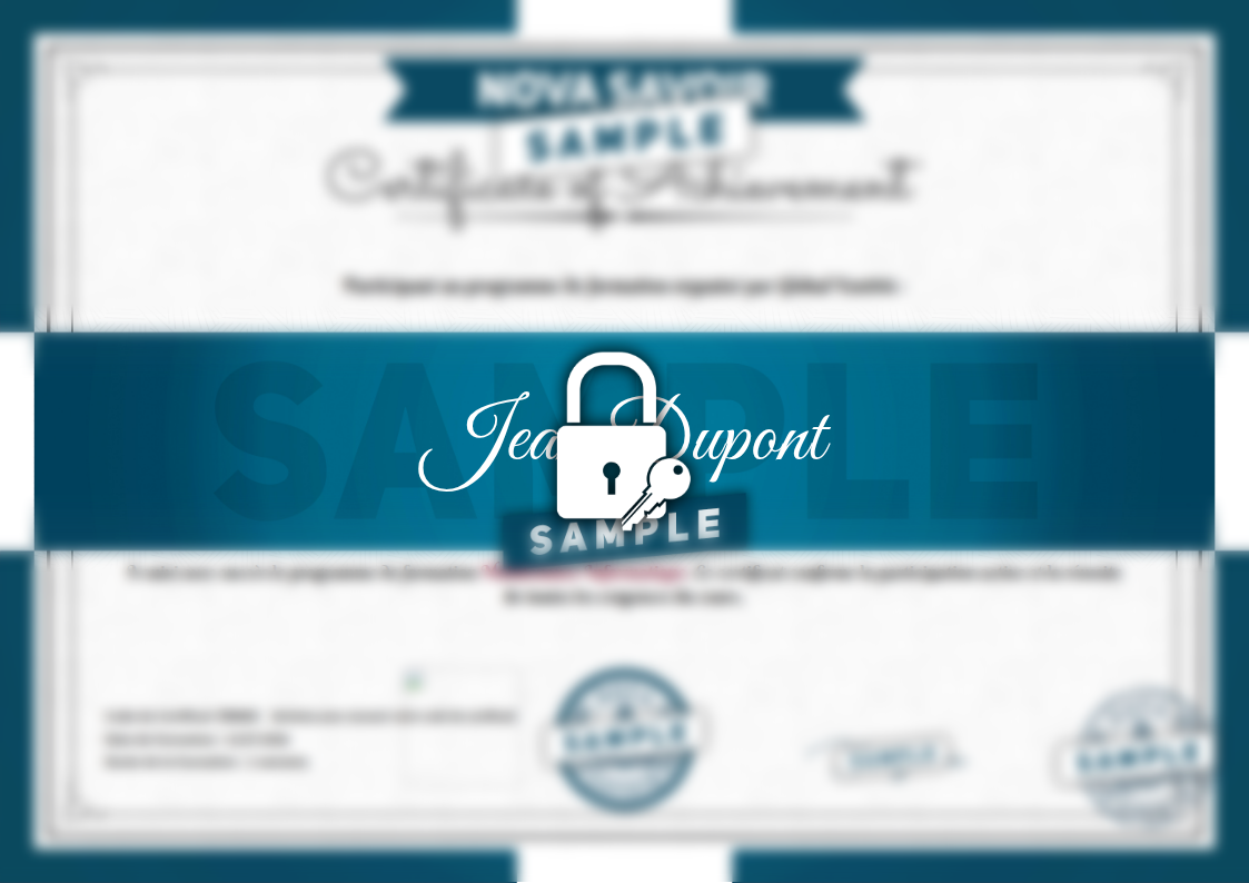 Exemple de certificat Maintenance Informatique